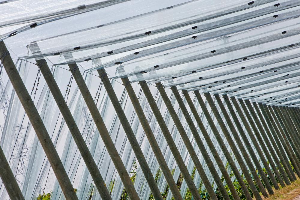 front sadu konstrukcji przeciwgradowej