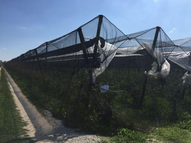 Konstrukcja przeciwdeszczowa