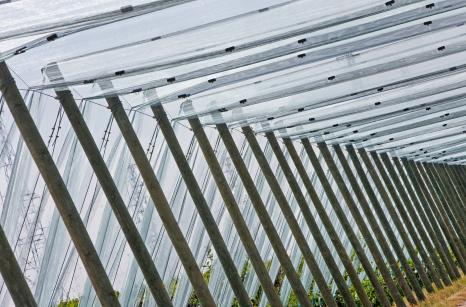 front sadu konstrukcji przeciwgradowej