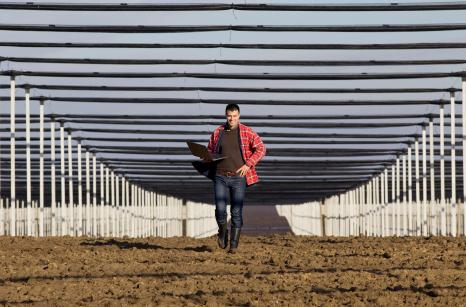 projektant z laptopem w sadzie